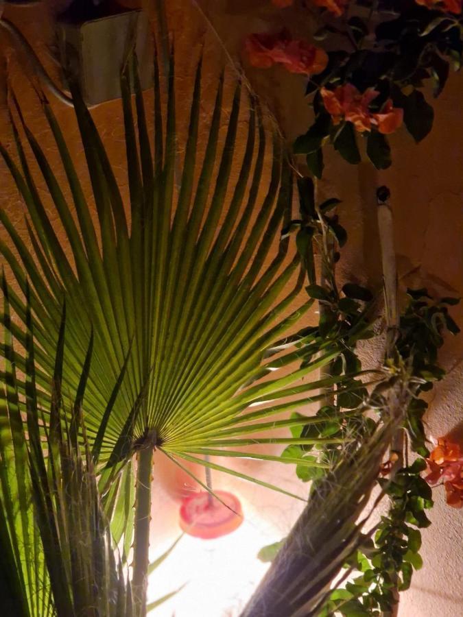 Maison Noe , Residence Al Quaria , Ab40 Marrakesh Eksteriør bilde